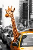 New York - Safari Giraffe - V - Maxi Paper Poster