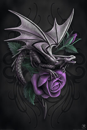 Anne Stokes Dragon Beauty  - Maxi Paper Poster