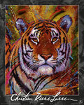 Lassen - Tiger - Mini Paper Poster
