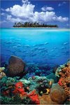 Tropical Scenery I - Maxi Paper Poster