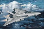 Grumman F-14 Tomcat Aeroplane - Maxi Paper Poster