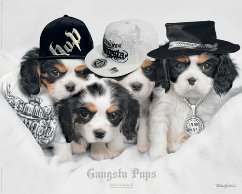 Gangsta Pups - Mini Paper Poster