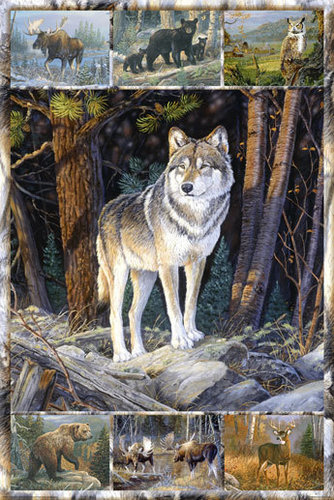 Laminated - Multi Pics American Wildlife - Maxi Poster
