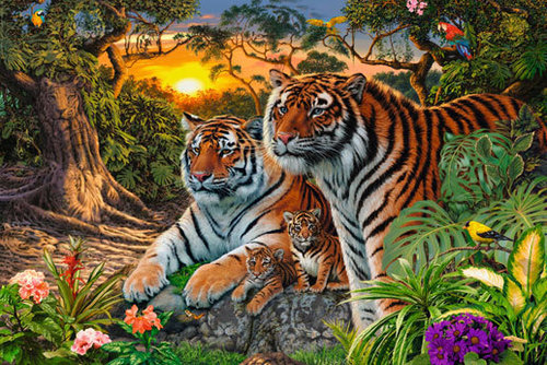 Hidden Tigers - Art - H - Maxi Paper Poster