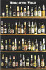 Beers Of the World Maxi Paper Poster