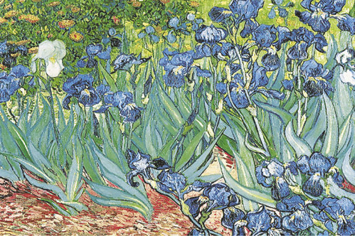 Vincent Van Gogh - Iris Maxi Paper Poster